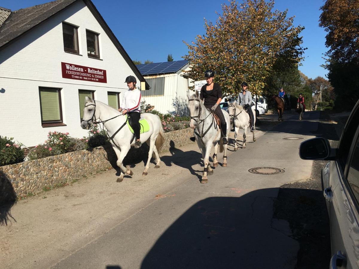 Reiterhof Wollesen 호텔 Süderlügum 외부 사진